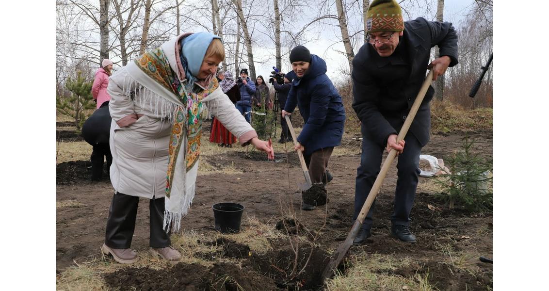 Сажаем вместе рябинку